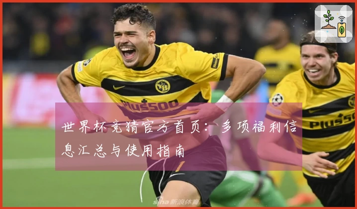 世界杯竞猜官方首页：多项福利信息汇总与使用指南