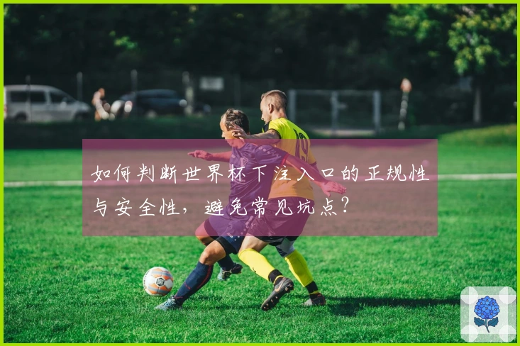 如何判断世界杯下注入口的正规性与安全性,避免常见坑点?