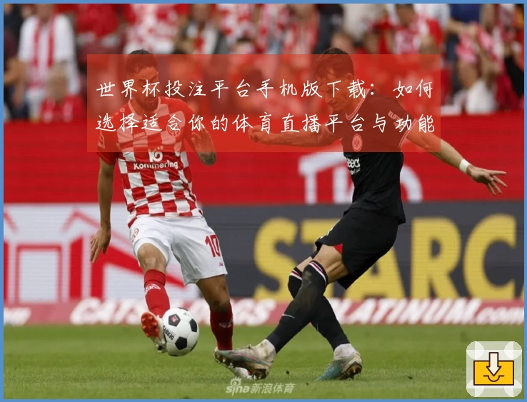 世界杯投注平台手机版下载：如何选择适合你的体育直播平台与功能指南