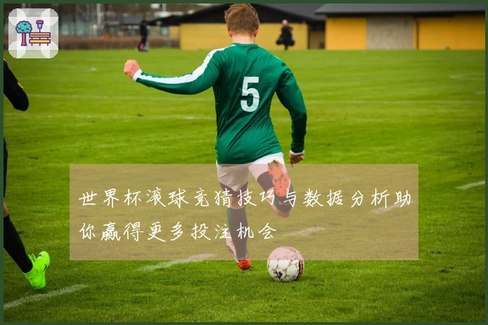 世界杯滚球竞猜技巧与数据分析助你赢得更多投注机会