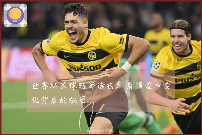 世界杯买球赔率透视：看懂盘口变化背后的秘密