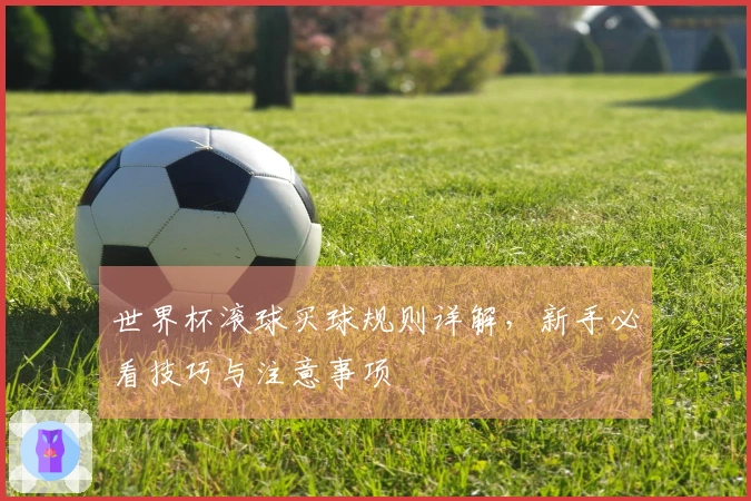 世界杯滚球买球规则详解，新手必看技巧与注意事项