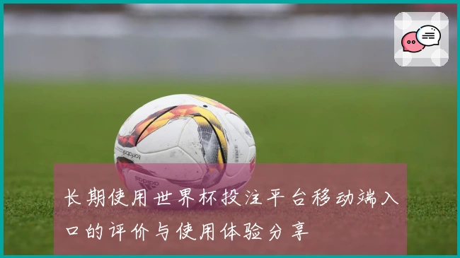 长期使用世界杯投注平台移动端入口的评价与使用体验分享