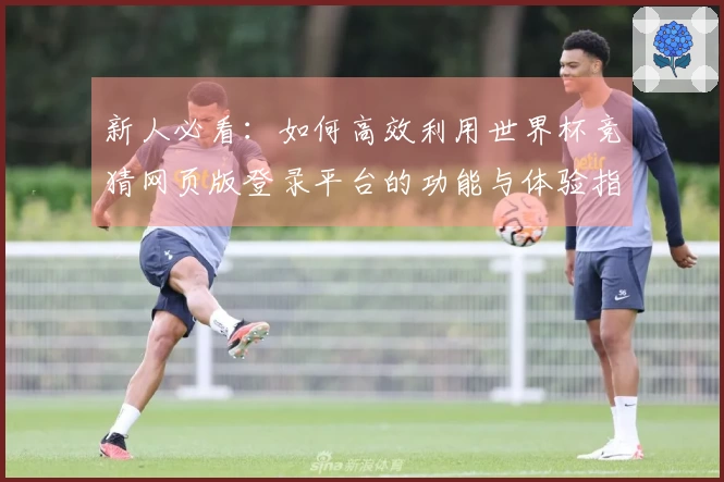新人必看：如何高效利用世界杯竞猜网页版登录平台的功能与体验指南