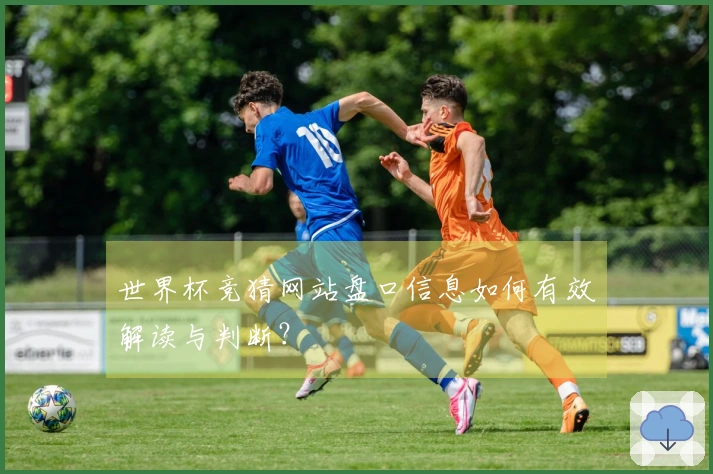 世界杯竞猜网站盘口信息如何有效解读与判断?